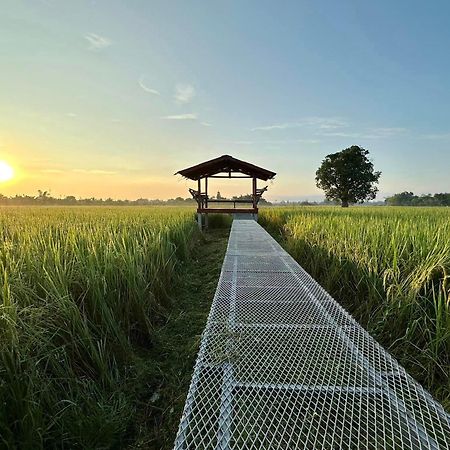 Phanumas Resort Chiang Mai Ngoại thất bức ảnh