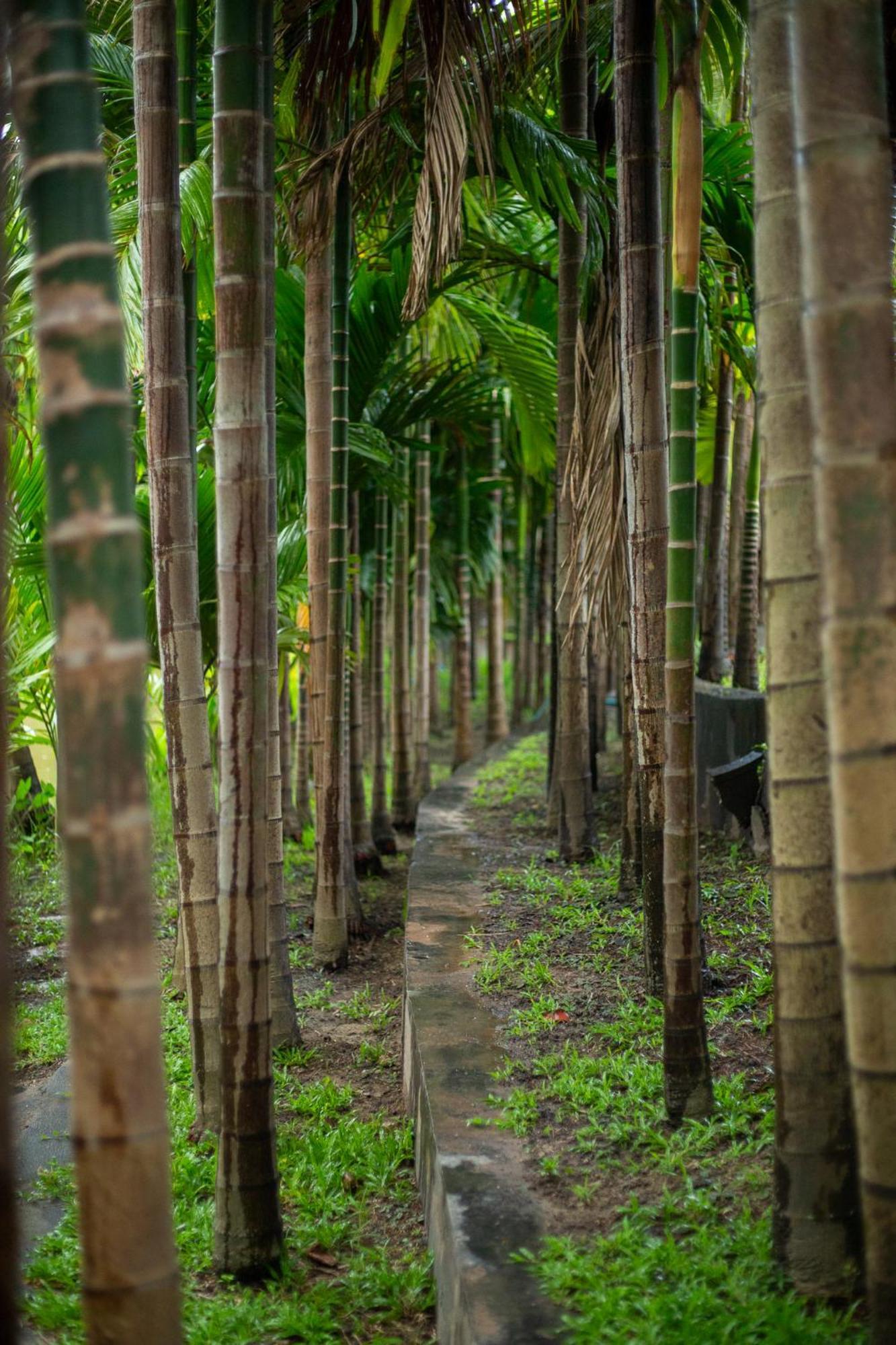 Phanumas Resort Chiang Mai Ngoại thất bức ảnh