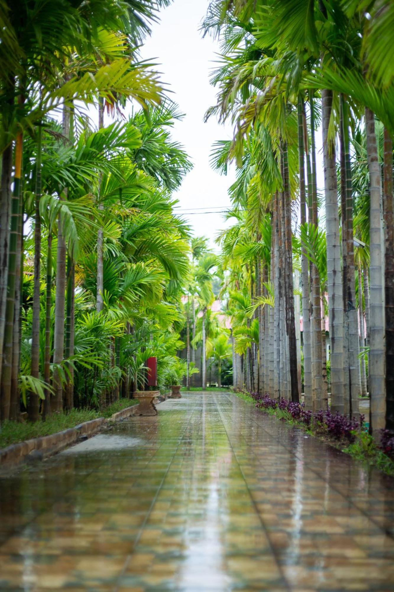 Phanumas Resort Chiang Mai Ngoại thất bức ảnh