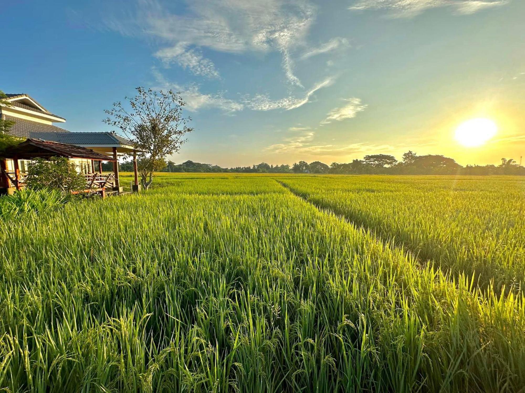 Phanumas Resort Chiang Mai Ngoại thất bức ảnh